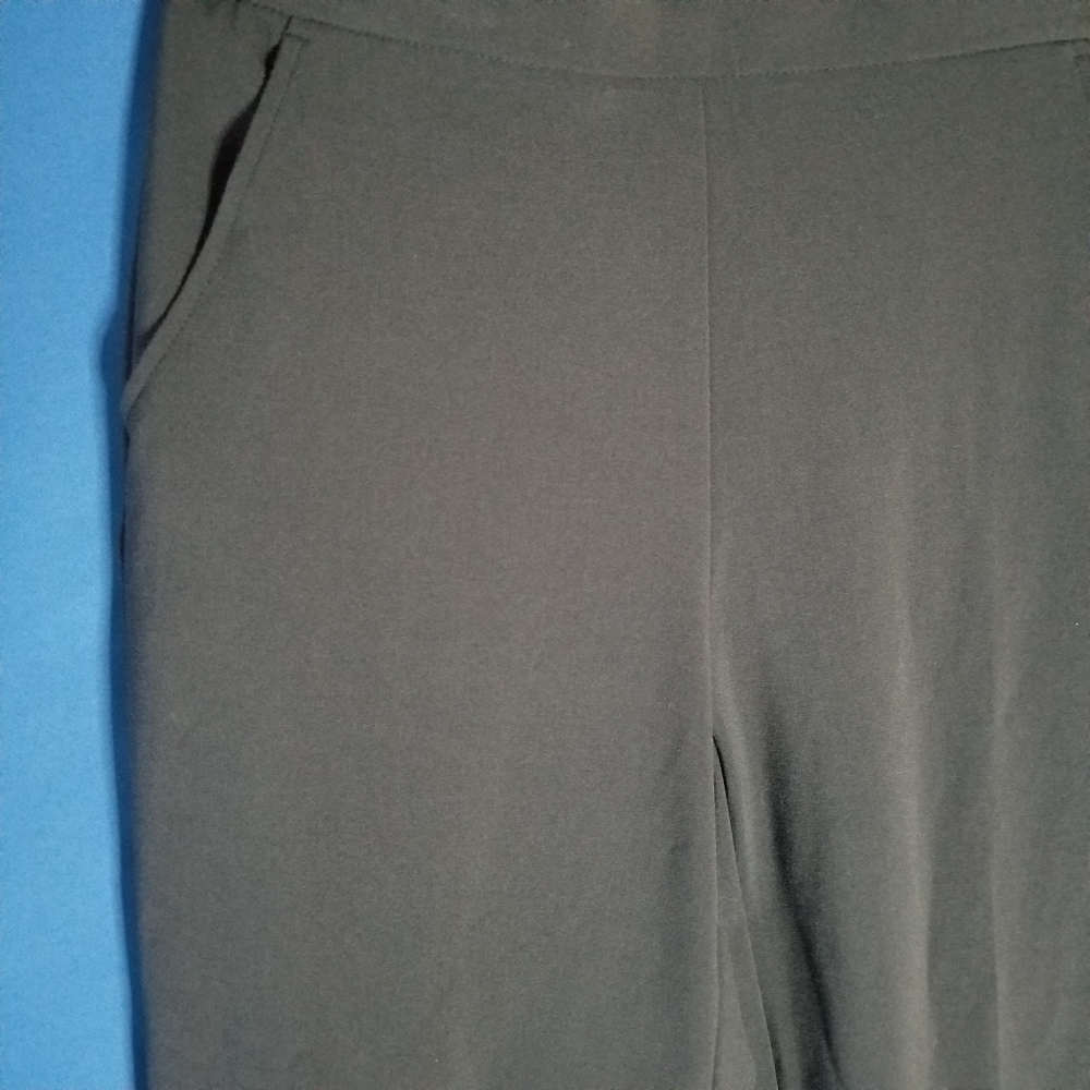 JM Collection Magic Pant With Clean Front - Picture 3 of 9